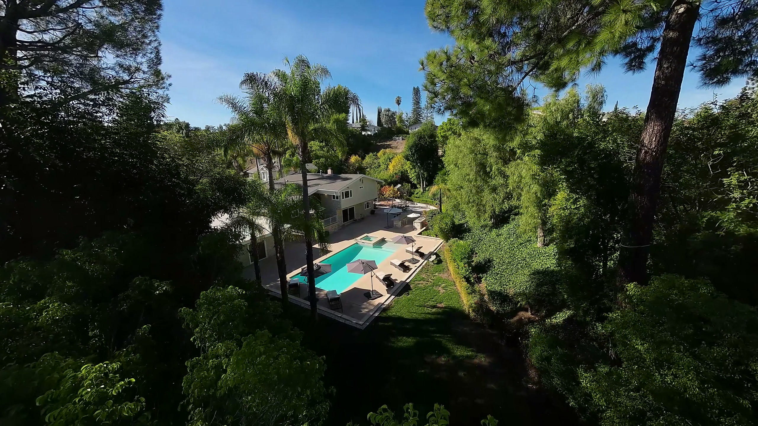 The pool and back patio of the Winnetka home seen from above, framed by palms and tall trees